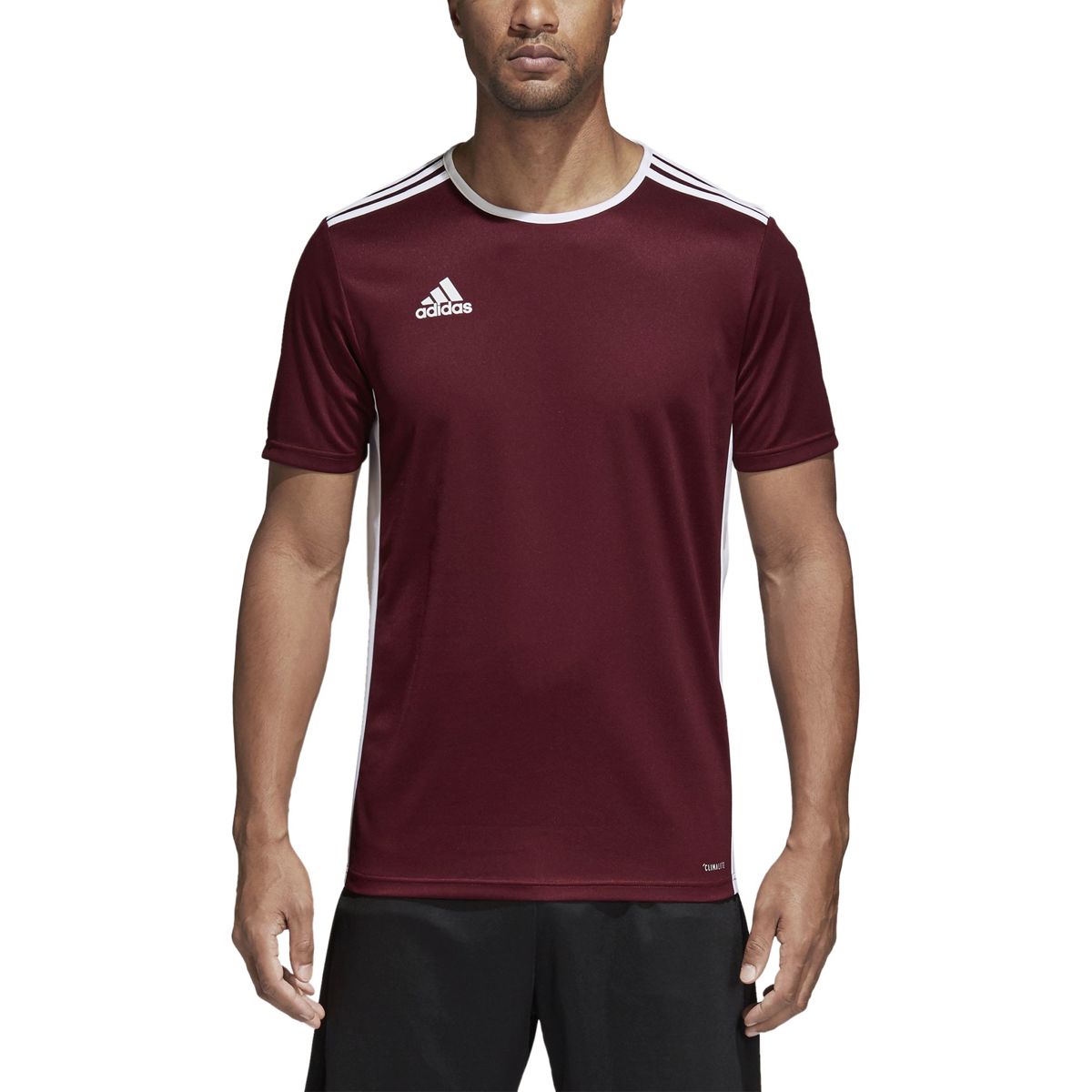 Bordeaux t 2025 shirt heren