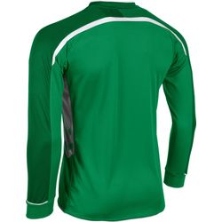 Voorvertoning: Hummel Preston Voetbalshirt Lange Mouw Kinderen - Groen / Wit