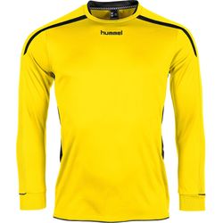 Voorvertoning: Hummel Preston Voetbalshirt Lange Mouw Heren - Geel / Zwart