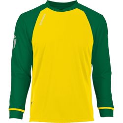 Voorvertoning: Stanno Liga Voetbalshirt Lange Mouw Kinderen - Geel / Groen