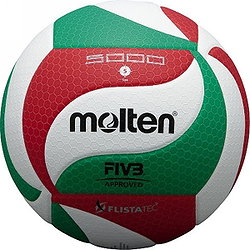 Molten V5m5000 (Size 5) Volleyball - Weiß / Rot / Grün