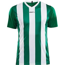 Craft Progress Stripe Maillot À Manches Courtes Hommes - Vert / Blanc