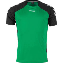 Voorvertoning: Hummel Authentic T-Shirt Heren - Groen
