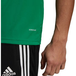 Voorvertoning: Adidas Squadra 21 Polo Heren - Groen / Wit