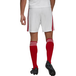 Présentation: Adidas Squadra 21 Short Hommes - Blanc / Rouge