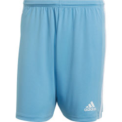 Présentation: Adidas Squadra 21 Short Hommes - Bleu Ciel / Blanc