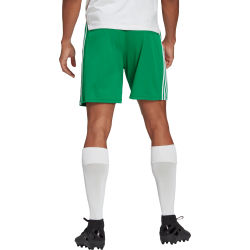 Présentation: Adidas Squadra 21 Short Enfants - Vert / Blanc