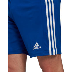 Voorvertoning: Adidas Squadra 21 Short Kinderen - Royal / Wit