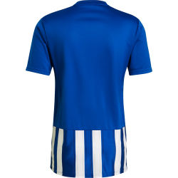 Voorvertoning: Adidas Striped 21 Shirt Korte Mouw Heren - Royal / Wit