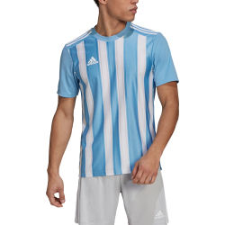 Voorvertoning: Adidas Striped 21 Shirt Korte Mouw Kinderen - Hemelsblauw / Wit
