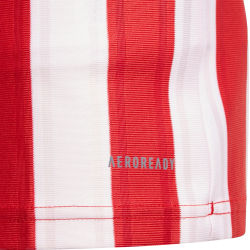 Voorvertoning: Adidas Striped 21 Shirt Korte Mouw Kinderen - Rood / Wit