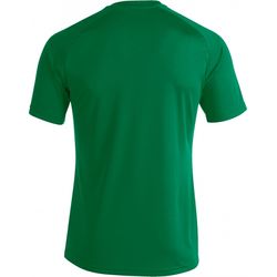 Voorvertoning: Joma Pisa II Shirt Korte Mouw Kinderen - Groen / Wit