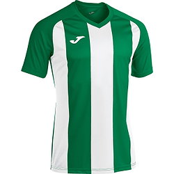 Joma Pisa II Trikot Kurzarm Herren - Grün / Weiß