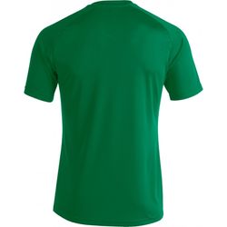 Voorvertoning: Joma Pisa II Shirt Korte Mouw Heren - Groen / Zwart