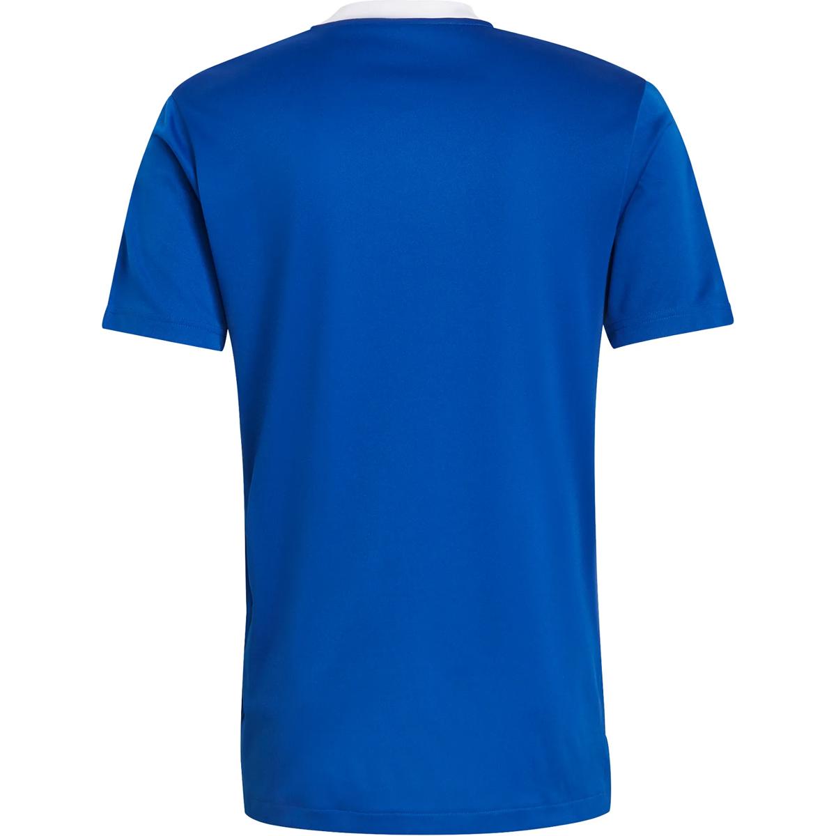 Tiro 21 T-Shirt Hommes - Royal