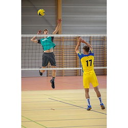 Présentation: 620489279dc97423a6abf3dd