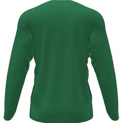 Voorvertoning: Joma Pisa II Voetbalshirt Lange Mouw Heren - Groen / Zwart