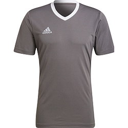 Adidas Entrada 22 Maillot Manches Courtes Hommes - Gris / Blanc