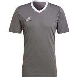 Voorvertoning: Adidas Entrada 22 Shirt Korte Mouw Heren - Grijs / Wit