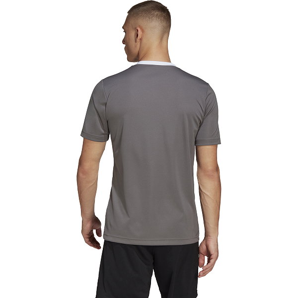 62048ee89dc97423a6ac1f3c