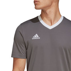 Voorvertoning: Adidas Entrada 22 Shirt Korte Mouw Heren - Grijs / Wit
