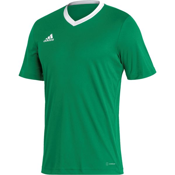 textuur Terminologie Leeuw Adidas Entrada 22 Shirt Korte Mouw voor Heren | Groen - Wit | Teamswear