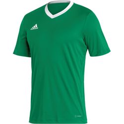 Voorvertoning: Adidas Entrada 22 Shirt Korte Mouw Heren - Groen / Wit