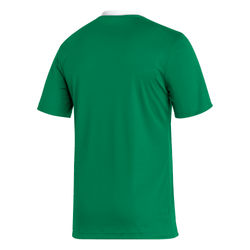 Voorvertoning: Adidas Entrada 22 Shirt Korte Mouw Heren - Groen / Wit