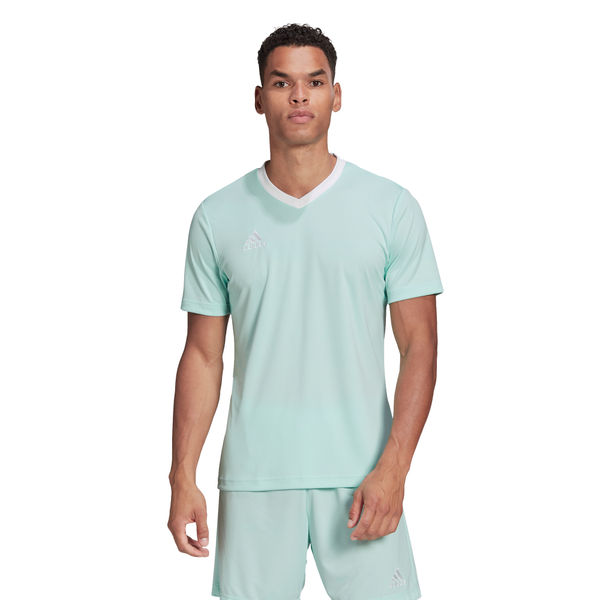 Adidas Entrada 22 Maillot Manches Courtes Hommes - Blanc / Menthe