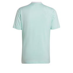 Voorvertoning: Adidas Entrada 22 Shirt Korte Mouw Heren - Wit / Munt
