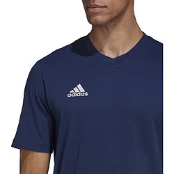 Présentation: 62160a8c146f244481cbb9a1