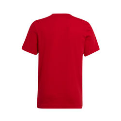 Voorvertoning: Adidas Entrada 22 T-Shirt Kinderen - Rood