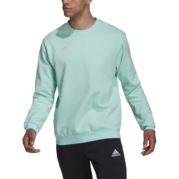 sneeuwman snap tij Adidas Entrada 22 Sweater voor Heren | Munt | Teamswear