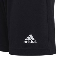 Présentation: 6274dd5be1ec1f5faf5bef0d