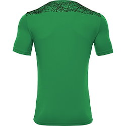 Présentation: 6296081491fa5766795728bc