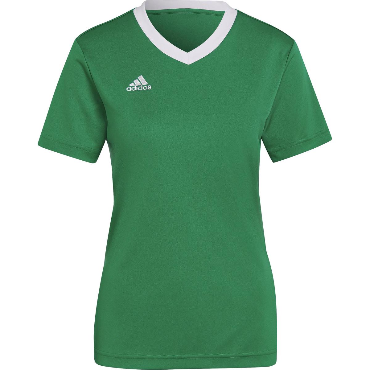 Adidas Entrada 22 Shirt Korte Mouw voor Dames Groen Teamswear