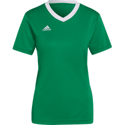 Voorvertoning: Adidas Entrada 22 Shirt Korte Mouw Dames - Groen