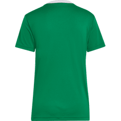 Voorvertoning: Adidas Entrada 22 Shirt Korte Mouw Dames - Groen