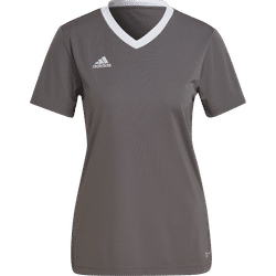 Voorvertoning: Adidas Entrada 22 Shirt Korte Mouw Dames - Grijs