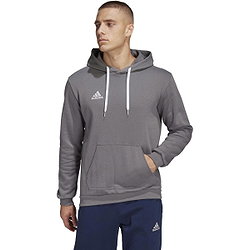 Adidas Entrada 22 Sweat À Capuchon Hommes - Gris