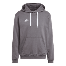 Voorvertoning: Adidas Entrada 22 Sweater Met Kap Heren - Grijs