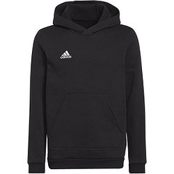 Adidas Entrada 22 Sweat À Capuchon Enfants - Noir