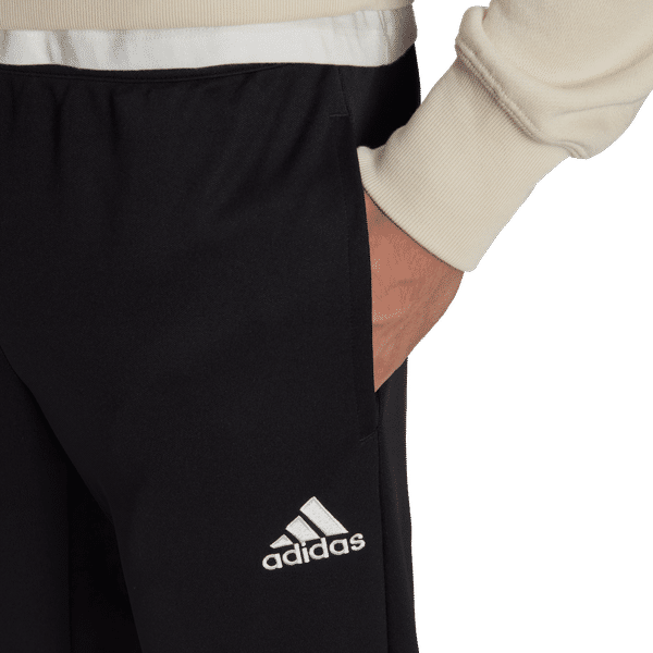 heroïsch waarde ontsnappen Adidas Entrada 22 Trainingsbroek voor Heren | Zwart | Teamswear