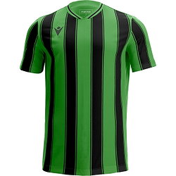 Macron Sceptrum Trikot Kurzarm Herren - Grün / Schwarz