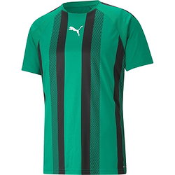 Puma Teamliga Maillot Manches Courtes Hommes - Vert / Noir