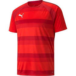 Puma Teamvision Maillot Manches Courtes Hommes - Rouge