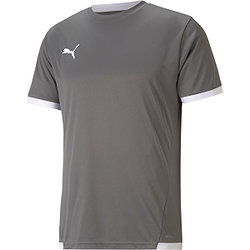 Puma Teamliga Trikot Kurzarm Herren - Grau / Weiß