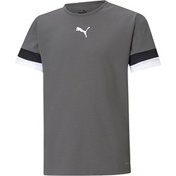 Puma Teamrise Shirt Korte Mouw Kinderen - Grijs