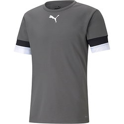 Puma Teamrise Maillot Manches Courtes Hommes - Gris