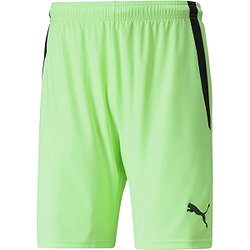Puma Teamliga Short Hommes - Lime